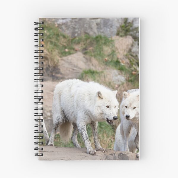 Item preview, A pack of Arctic Wolves designed and sold by Josef Pittner.