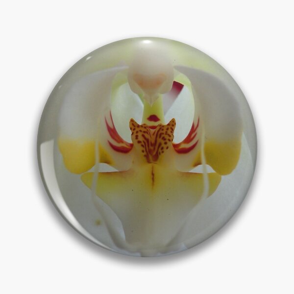 Item preview, The Beauty of an Orchid designed and sold by Trish Meyer.
