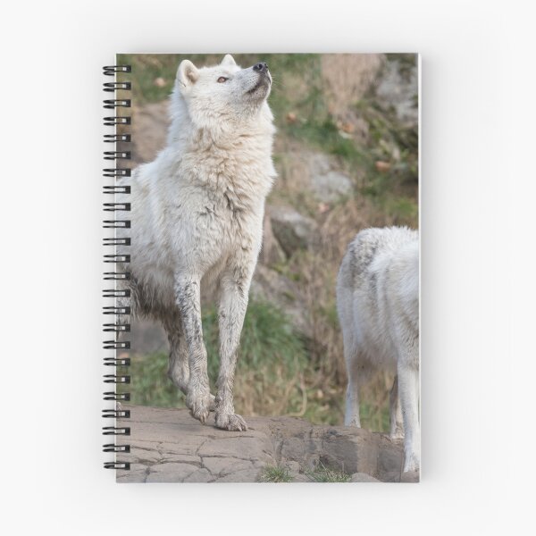 Item preview, Some Arctic Wolves at play designed and sold by Josef Pittner.