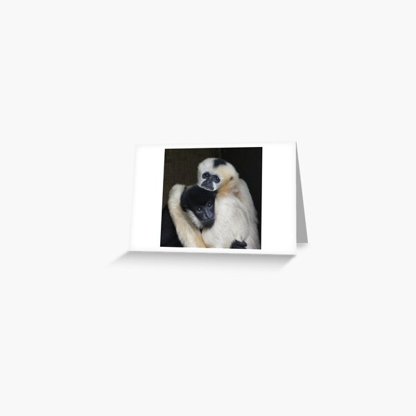 Item preview, Gibbon Male And Female Togetherness designed and sold by Margaret Saheed.