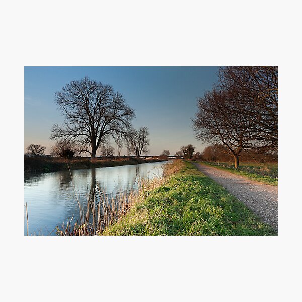 Bridgwater and Taunton Canal Photographic Print