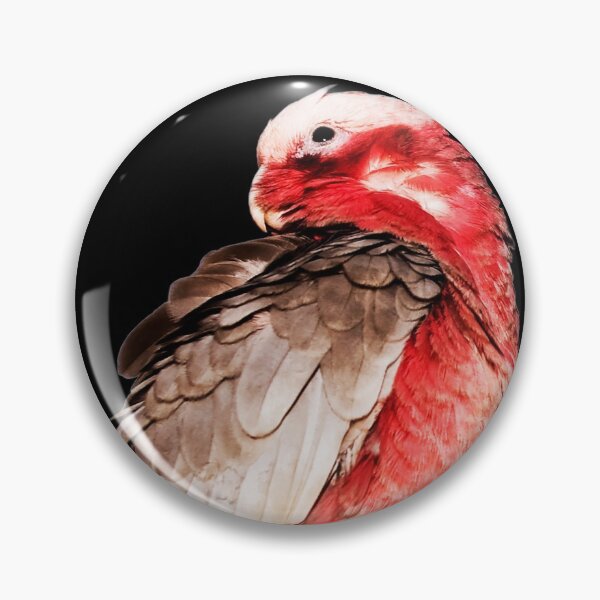 Item preview, Feathered Friends , Galah  designed and sold by Ohlordi.