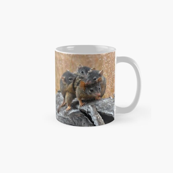 Antechinus mother carrying babies Classic Mug