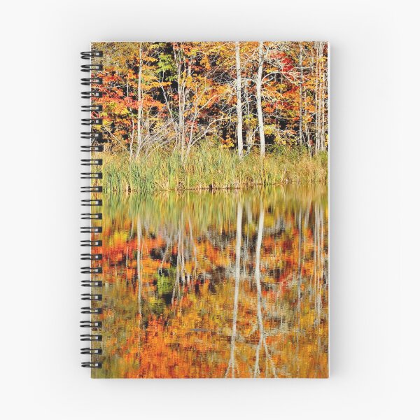 Item preview, Upon Reflection designed and sold by Kathleen Daley.
