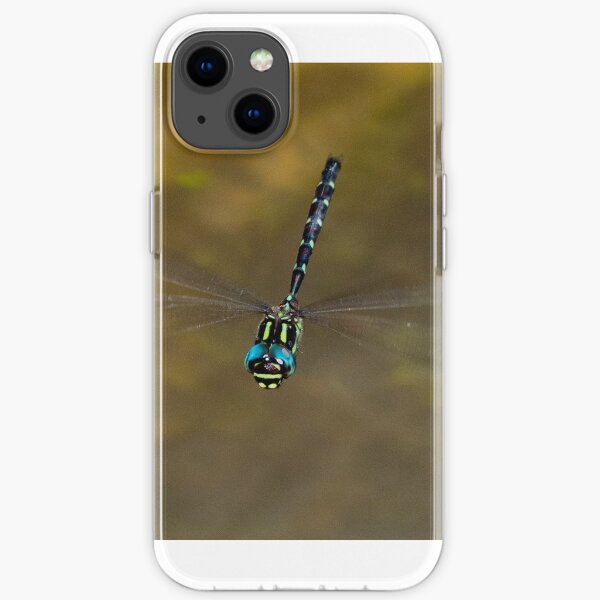 Sigma Darner, Goomburra National Park iPhone Soft Case