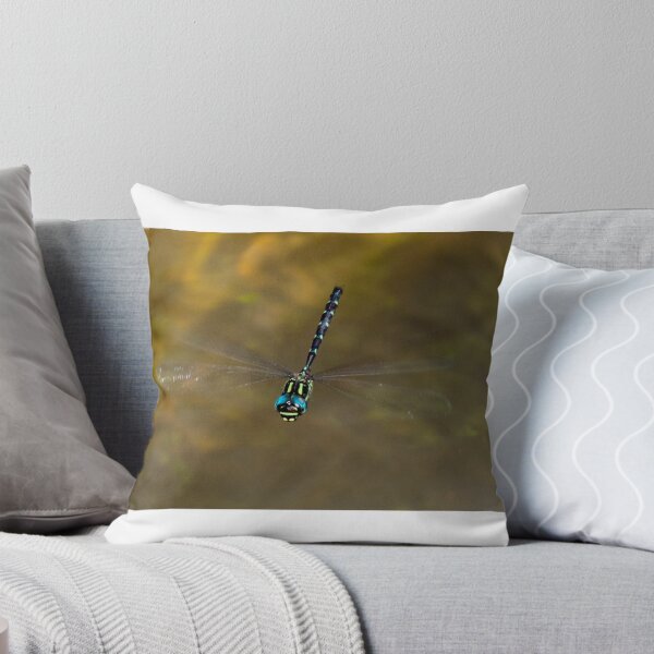 Item preview, Sigma Darner, Goomburra National Park designed and sold by Robert Ashdown.