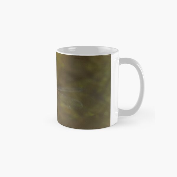 Sigma Darner, Goomburra National Park Classic Mug