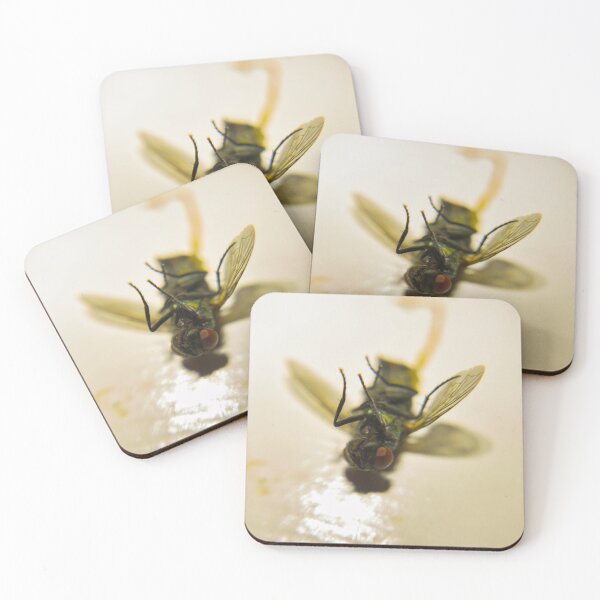 Item preview, Macro House Fly designed and sold by Akitsu.
