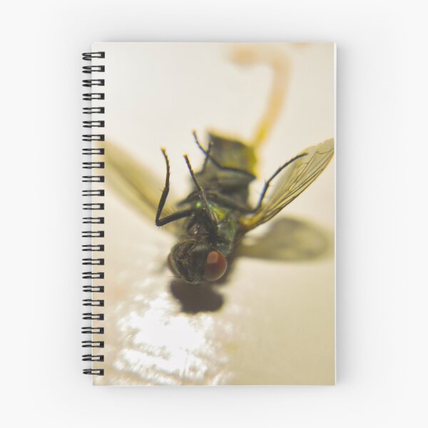 Item preview, Macro House Fly designed and sold by Akitsu.