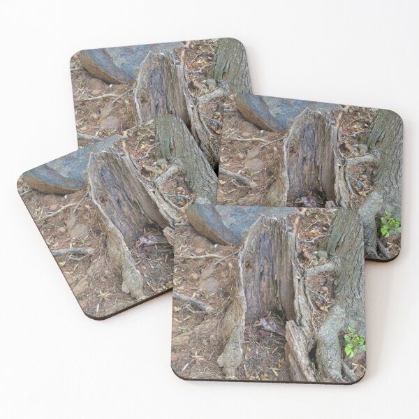 Item preview, Eerie Tree Stump designed and sold by Akitsu.