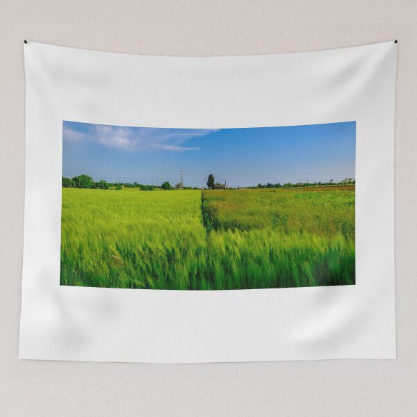 Item preview, Fields of Friuli Venezia-Giulia designed and sold by zakaz86.