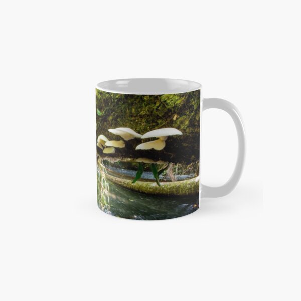 Goomburra National Park Classic Mug