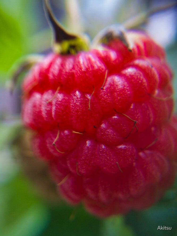 Thumbnail 4 of 4, iPhone Case, Freshly Grown Raspberry designed and sold by Akitsu.