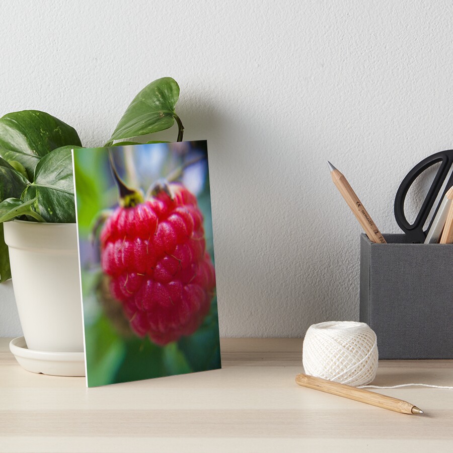 Item preview, Art Board Print designed and sold by Akitsu.