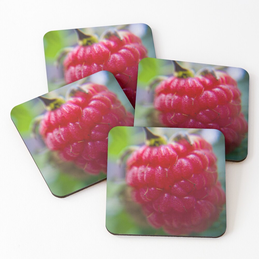 Item preview, Coasters (Set of 4) designed and sold by Akitsu.