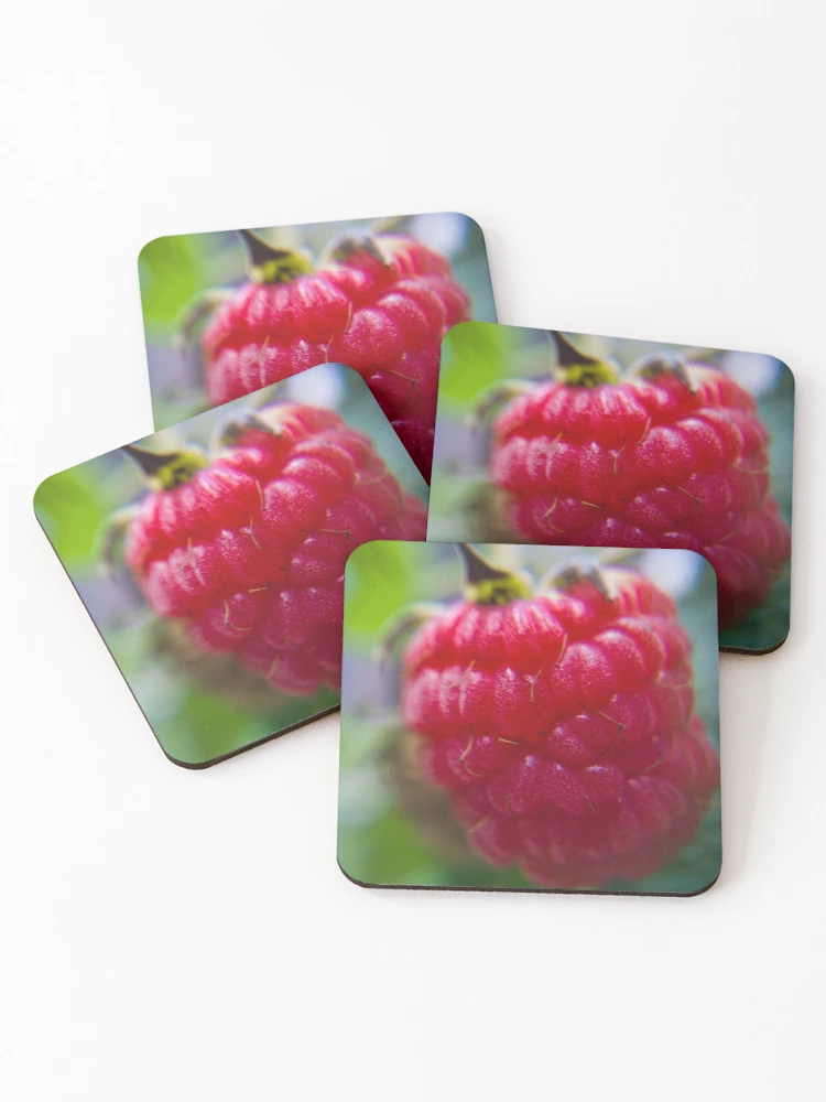Thumbnail 1 of 5, Coasters (Set of 4), Freshly Grown Raspberry designed and sold by Akitsu.