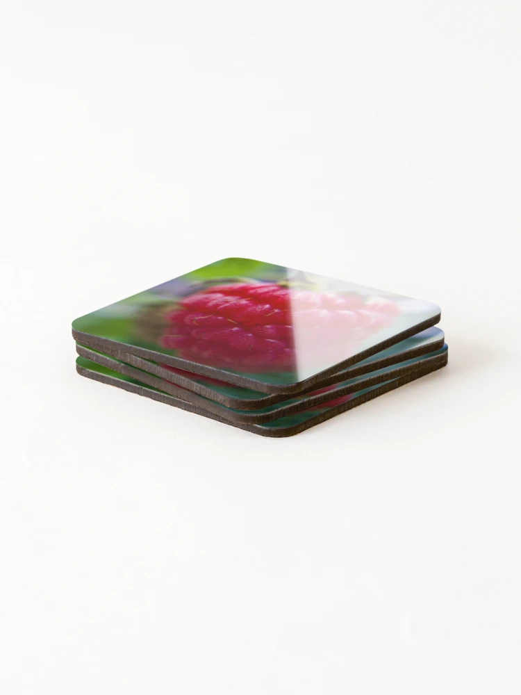 Thumbnail 4 of 5, Coasters (Set of 4), Freshly Grown Raspberry designed and sold by Akitsu.