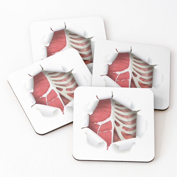 Item preview, internal organs designed and sold by SAUHER.