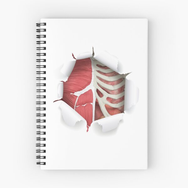 Item preview, internal organs designed and sold by SAUHER.