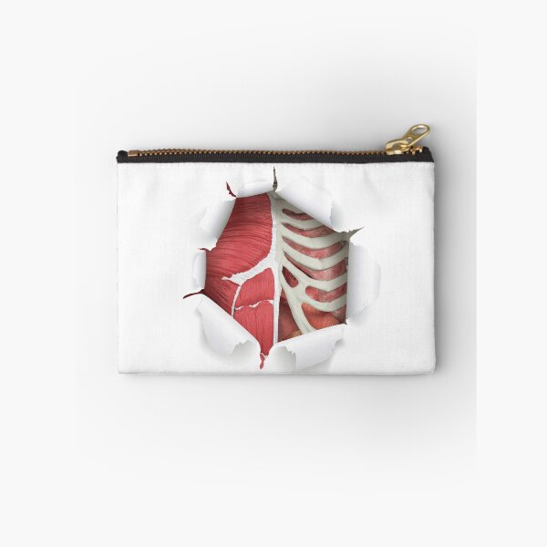 Item preview, internal organs designed and sold by SAUHER.
