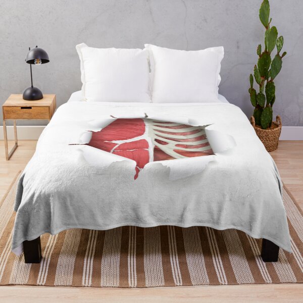 Item preview, internal organs designed and sold by SAUHER.