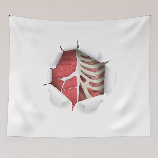 Item preview, internal organs designed and sold by SAUHER.