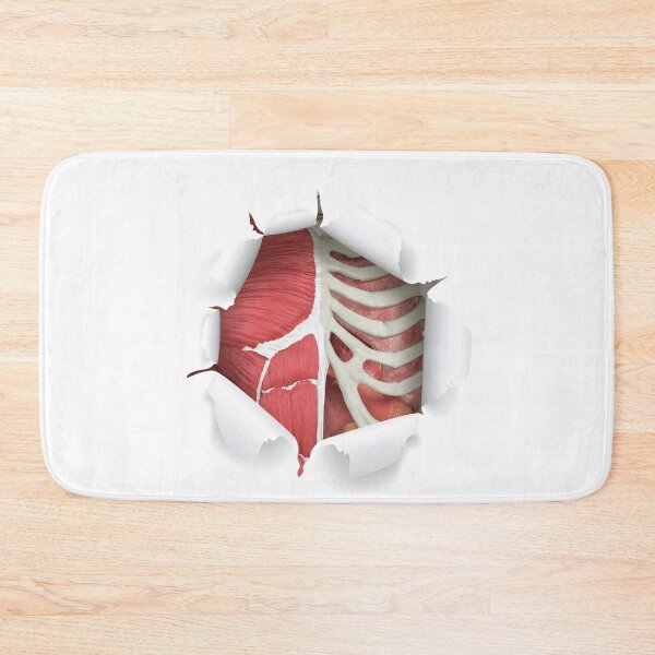 Item preview, internal organs designed and sold by SAUHER.