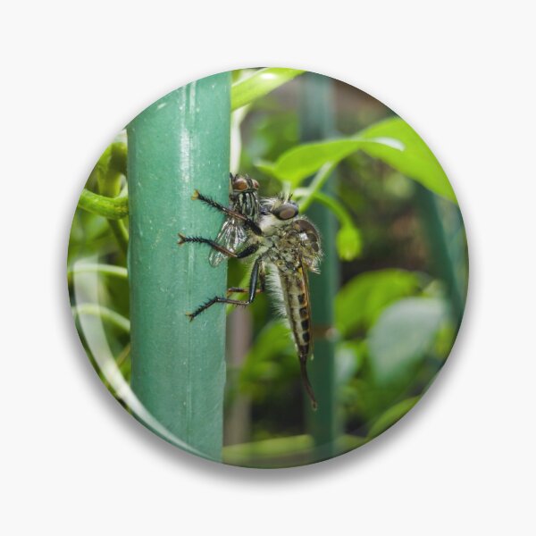 Item preview, Insect Bonding designed and sold by Akitsu.
