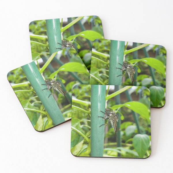 Item preview, Insect Bonding designed and sold by Akitsu.