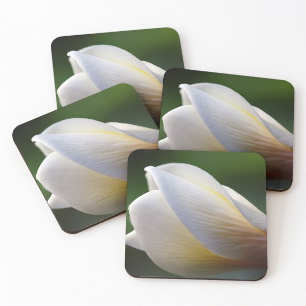 Item preview, Unfurling designed and sold by Siene Browne.