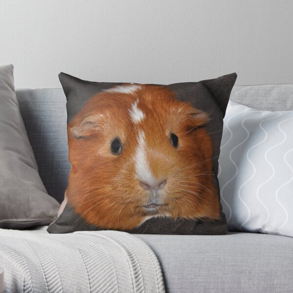 Ginny the Guinea Pig Throw Pillow