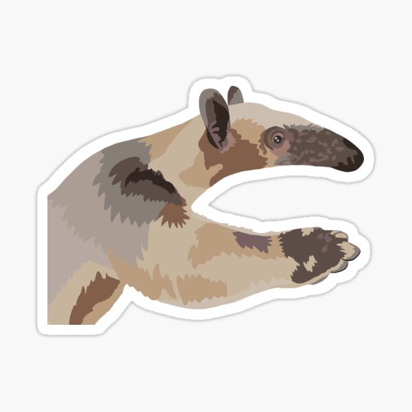 Tamandua cartoon illustration Sticker for Sale by Misscartoon