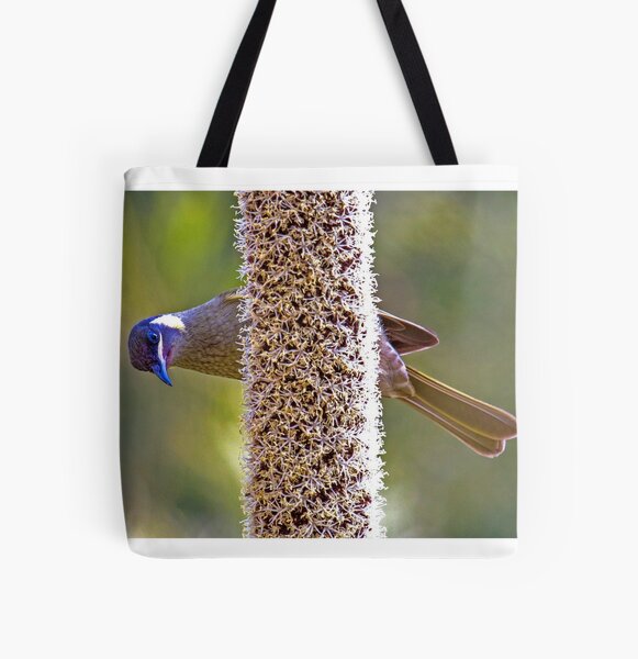 Lewin's Honeyeater on Grass Tree flower spike, Bunya Mountains National Park All Over Print Tote Bag