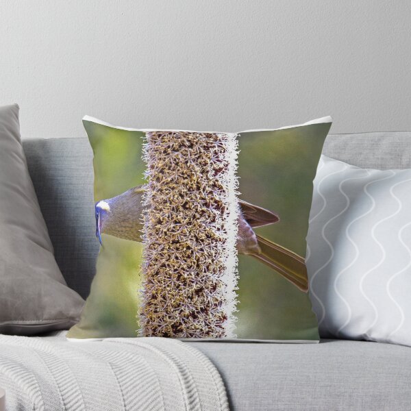 Aperçu de l'œuvre Lewin's Honeyeater on Grass Tree flower spike, Bunya Mountains National Park créée et vendue par Robert Ashdown.