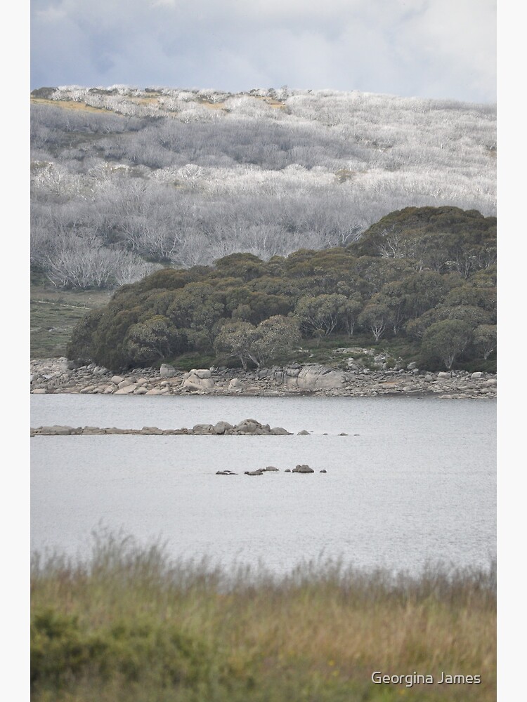 Thumbnail 3 of 3, Photographic Print, Rocky Valley Dam Falls Creek designed and sold by cheekygigi.