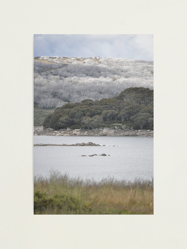Thumbnail 1 of 3, Photographic Print, Rocky Valley Dam Falls Creek designed and sold by cheekygigi.