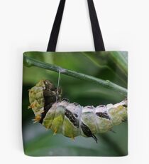 Dodo time Tote Bag