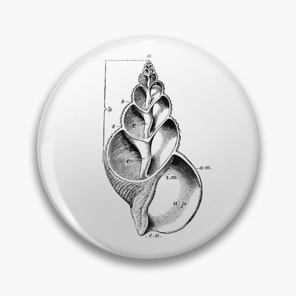 Item preview, Fibbonaci Shell designed and sold by Bundjum.