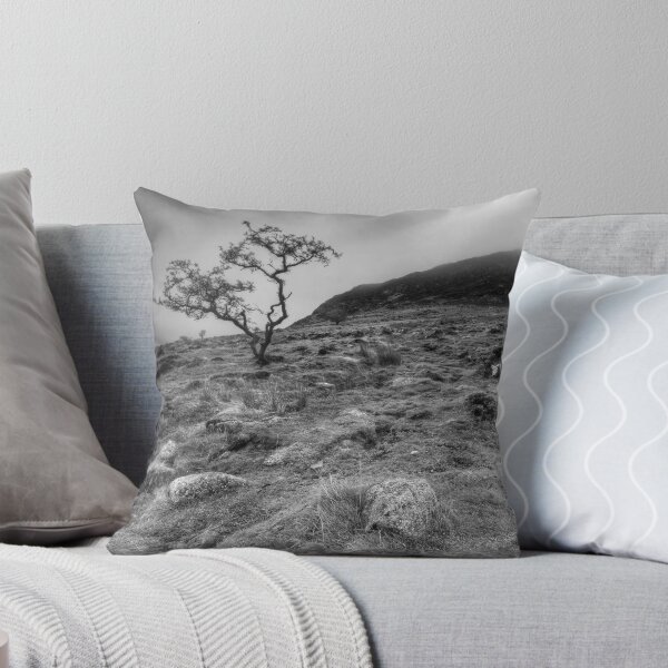Item preview, Slemish Mountain 2 designed and sold by MarcoBell.