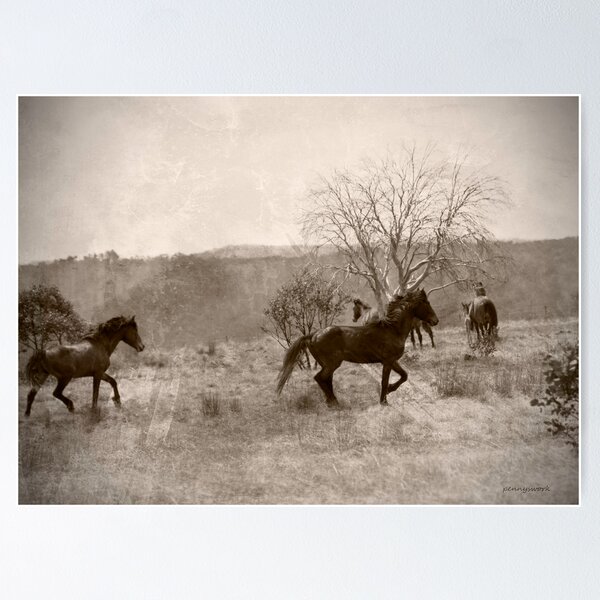 Item preview, Brumbies - Mt Hotham designed and sold by pennyswork.