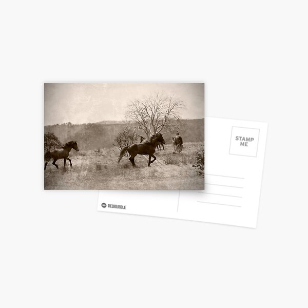 Item preview, Brumbies - Mt Hotham designed and sold by pennyswork.