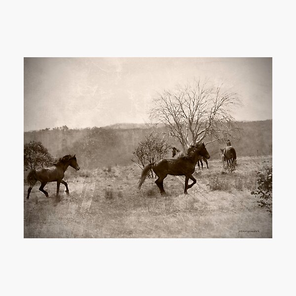 Item preview, Brumbies - Mt Hotham designed and sold by pennyswork.