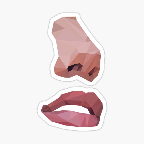 Nosey Sticker