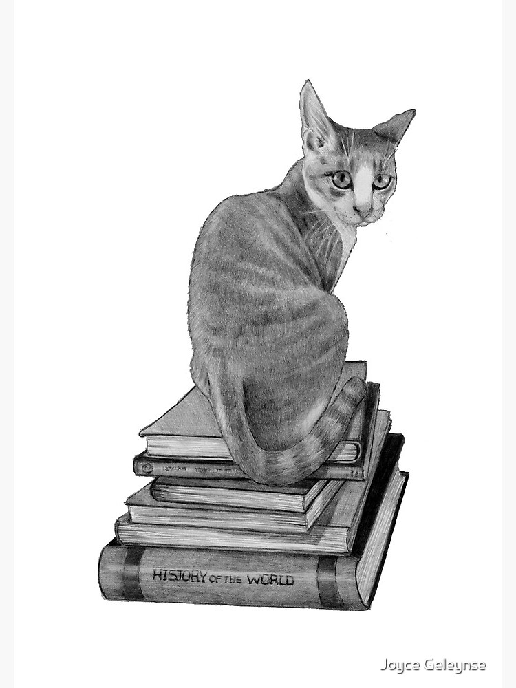 cat reading a book drawing