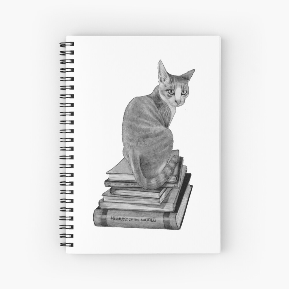 Cat Sitting on Stack of Books, Pencil Drawing, Animal, Reading