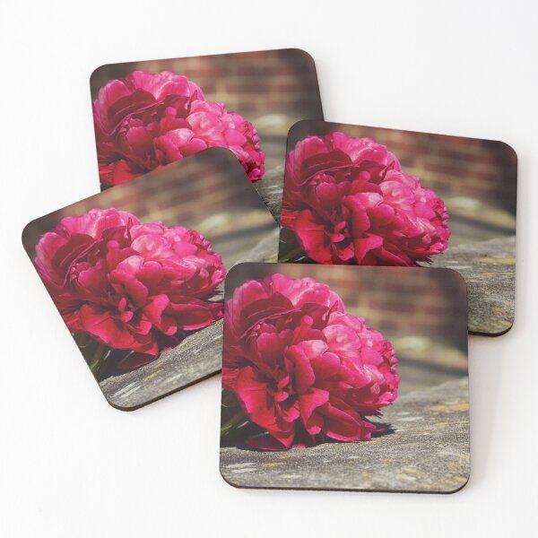 Item preview, Beautiful bloom designed and sold by Ms-Bexy.