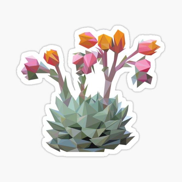 Blooming Succulent Sticker