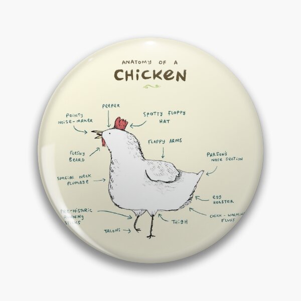 Item preview, Anatomy of a Chicken designed and sold by SophieCorrigan.