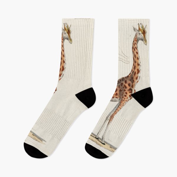 Item preview, Giraffe illustration, 1800's Lithograph designed and sold by Booboo13.