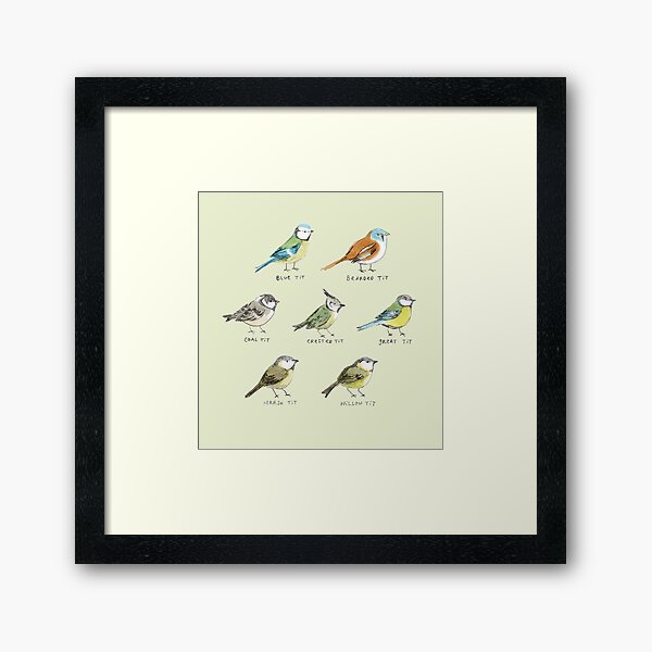 The Tit Family Framed Art Print